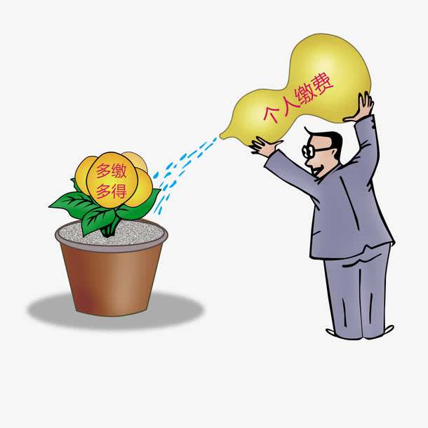 養(yǎng)老保險個人怎么交？繳費檔次是什么？ 第1張