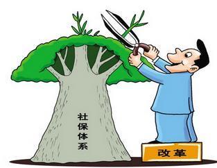 個人繳納社保和公司繳納的社保有何不同？ 第1張