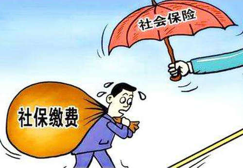 個人交社保怎么交? 第1張 個人交社保怎么交? 第1張